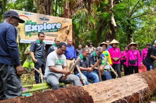 menjaga sagu - ilustrasi berita Bagi Orang Papua, Menjaga Sagu Sama dengan Menjaga Kehidupan