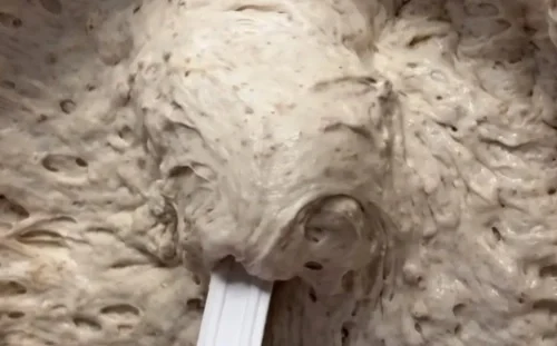 sourdough starter - ilustrasi berita Sourdough Starter, Modal Tepung dan Air untuk Roti Rumahan