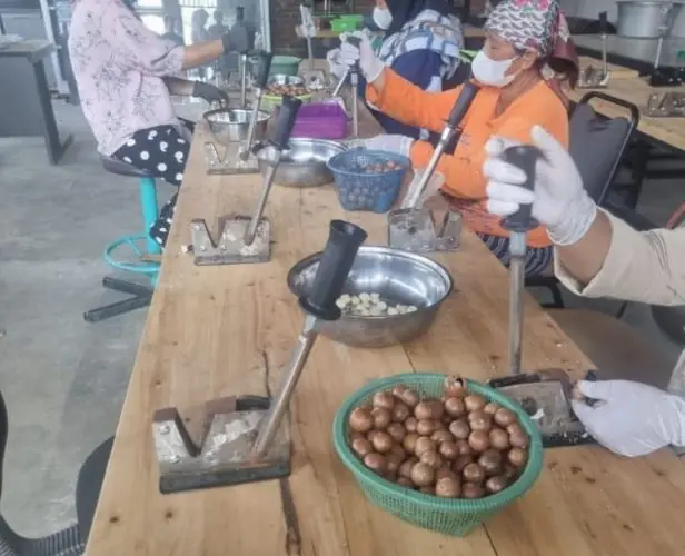 macadamia coffee ampelgading - ilustrasi berita Macadamia Coffee Ampelgading, Inovasi Kopi Lereng Semeru yang…