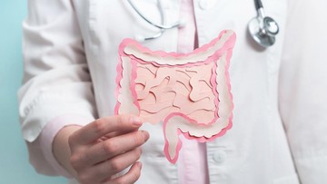 makanan sehat usus - ilustrasi berita Bagus buat Diet! Ini 7 Makanan Sehat Usus versi Dokter Harvard