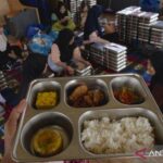 mbg 3b - ilustrasi berita MBG 3B Jangkau 9,6 Juta Ibu dan Balita, Investasi Cegah Stunting Sejak Dini
