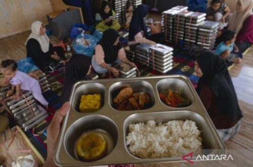 mbg 3b - ilustrasi berita MBG 3B Jangkau 9,6 Juta Ibu dan Balita, Investasi Cegah Stunting Sejak Dini