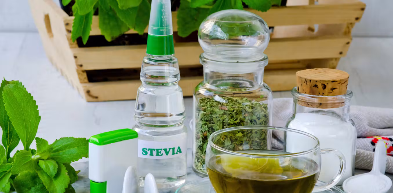 ganti gula dengan stevia Bisakah kita ganti gula dengan stevia untuk… ganti gula dengan stevia - ilustrasi berita Bisakah kita ganti gula dengan stevia untuk menurunkan berat badan?