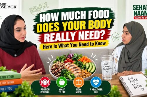 what should you eat - ilustrasi berita What Should You Eat: Panduan Porsi dan Gizi Seimbang